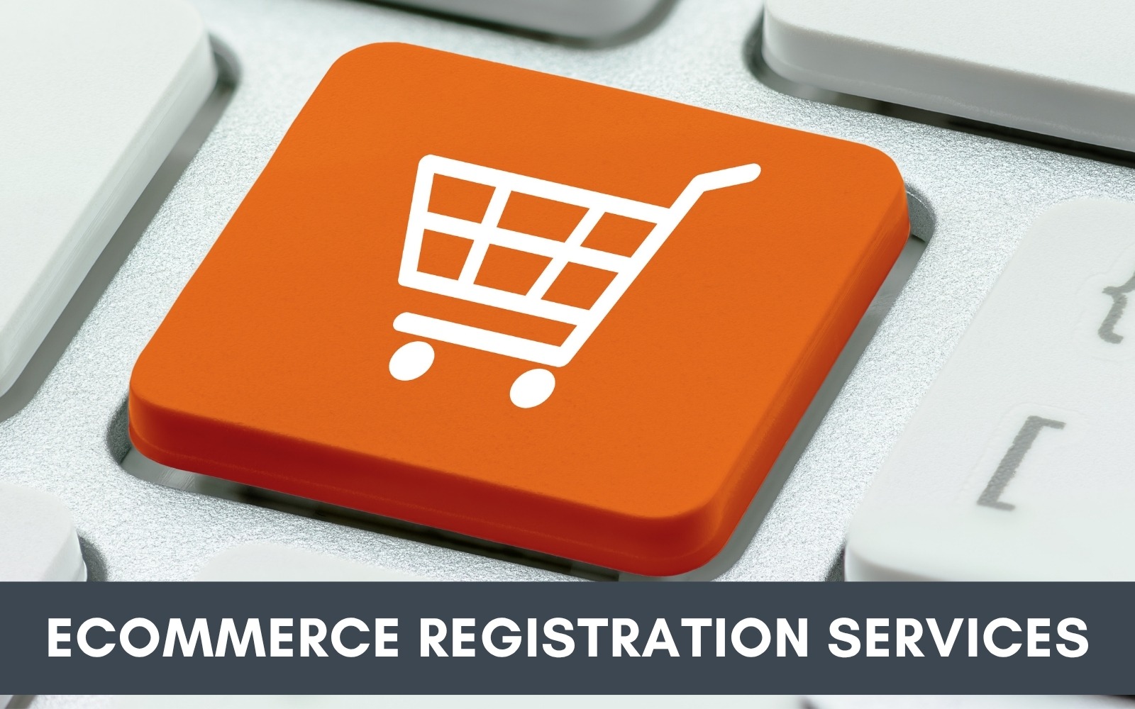 Ecommerce Registration Services